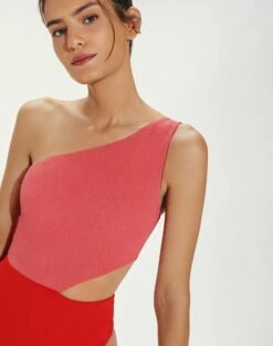 Firenze Drape One Piece - Ballet -Vix Paula Hermanny Sales Shop DrapeOnePiece detail 1